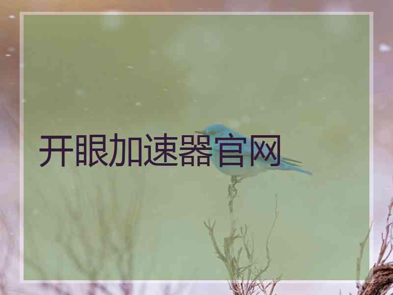 开眼加速器官网