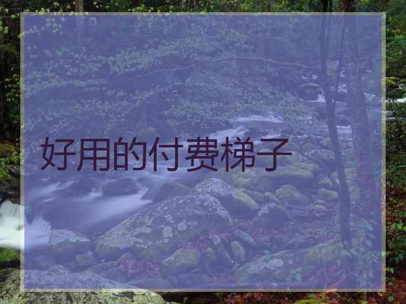 好用的付费梯子