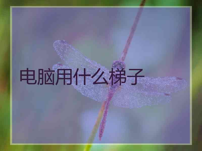 电脑用什么梯子