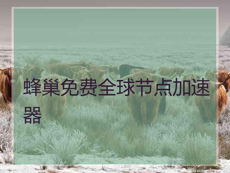蜂巢免费全球节点加速器