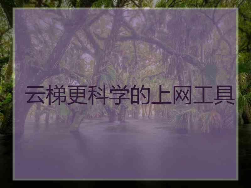 云梯更科学的上网工具