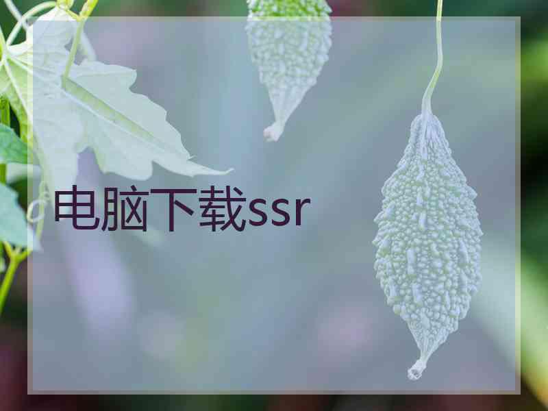 电脑下载ssr