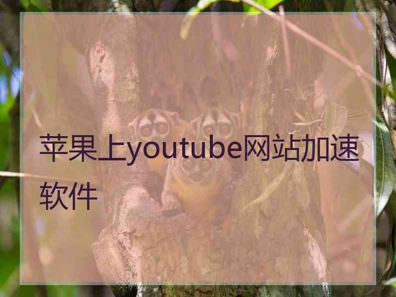 苹果上youtube网站加速软件