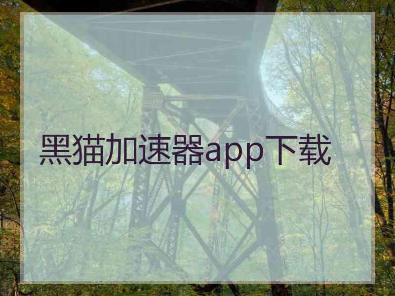 黑猫加速器app下载
