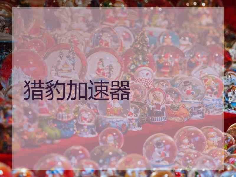 猎豹加速器
