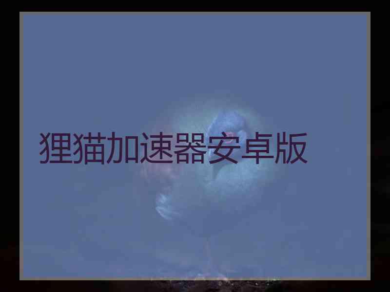 狸猫加速器安卓版