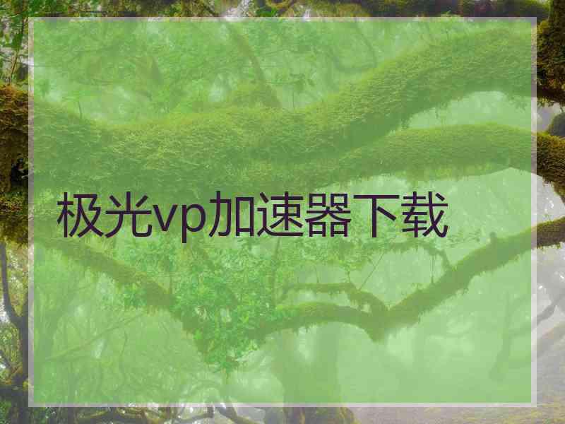 极光vp加速器下载
