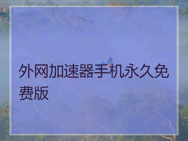 外网加速器手机永久免费版